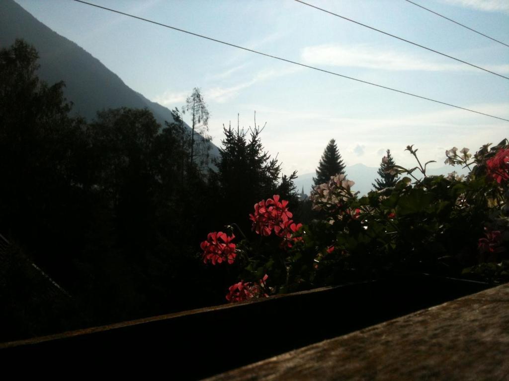 Larchenhof * Maurach (Achensee)